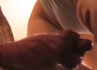 Canine fucking featured in free online porn