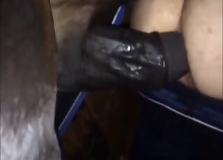 Horse penis violating that submissive fuckhole