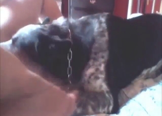 Hot-ass zoophile porn showing dog pussy licking