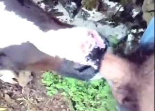 Uncensored fuck with a cow while outside