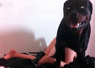 變態妞兒真愛狗屌