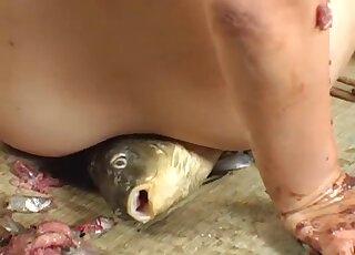 Gorgeous Japanese slut fucking eels and stuff
