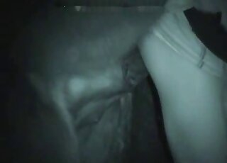 Amazing doggy style pound session with stallion