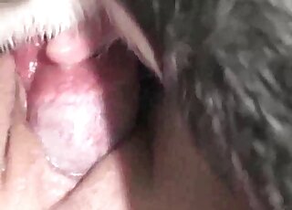 Zoophilic hoe getting stretched real nice here